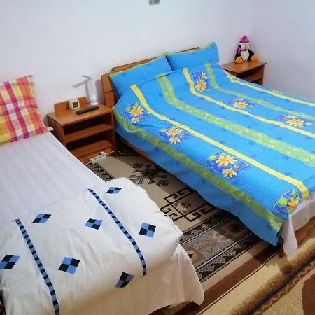 Rustic House Apartment Turnu Magurele Luaran gambar