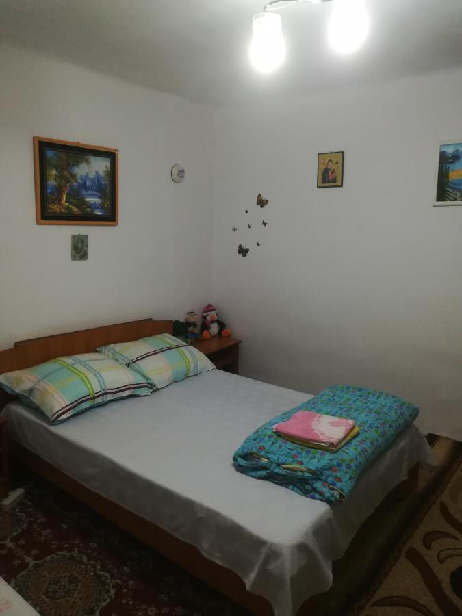 Rustic House Apartment Turnu Magurele Luaran gambar