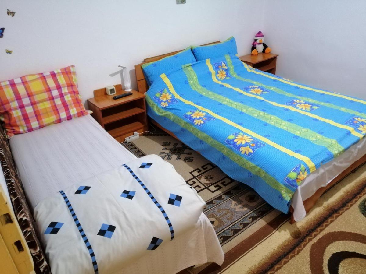 Rustic House Apartment Turnu Magurele Luaran gambar